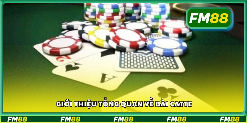 Giới thiệu tổng quan về bài Catte