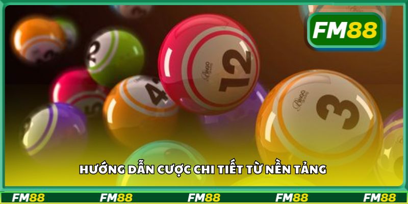 Hướng dẫn cược chi tiết từ nền tảng