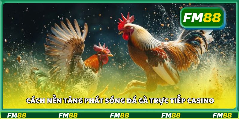 Cách nền tảng phát sóng đá gà trực tiếp casino