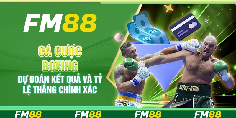 Cá Cược Boxing, Dự Đoán Kết Quả Và Tỷ Lệ Thắng Chính Xác