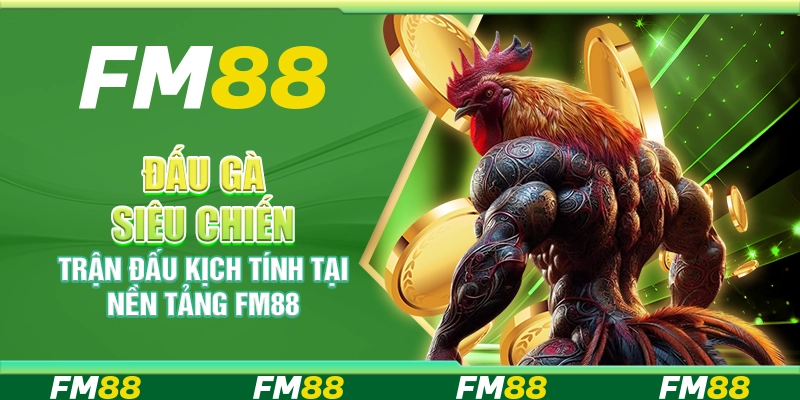 Đấu Gà Siêu Chiến, Trận Đấu Kịch Tính Tại Nền Tảng Fm88