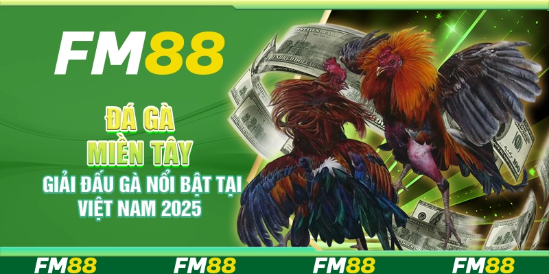 Đá Gà Miền Tây, Giải Đấu Gà Nổi Bật Tại Việt Nam 2025