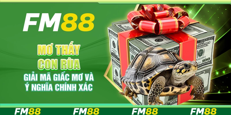Mơ Thấy Con Rùa, Giải Mã Giấc Mơ Và Ý Nghĩa Chính Xác