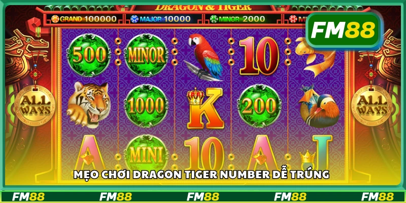 Bật mí mẹo chơi Dragon Tiger Number dễ trúng