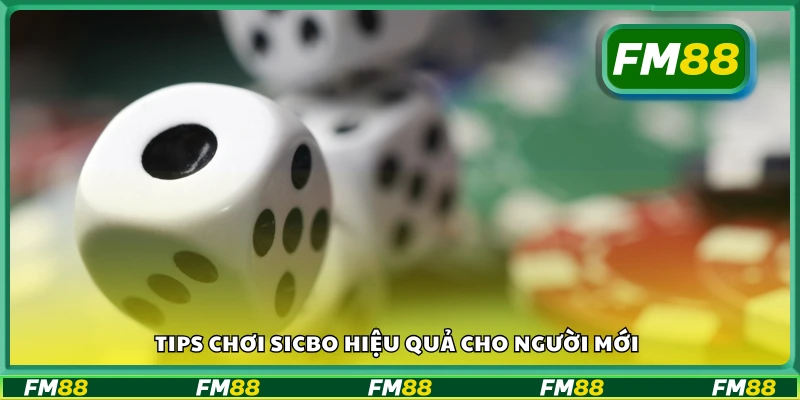 Mẹo chơi sicbo dễ hiểu và hiệu quả dành cho tân thủ