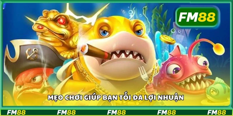 Mẹo chơi giúp bạn tối đa lợi nhuận