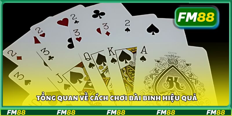 Tổng quan về cách chơi bài binh hiệu quả