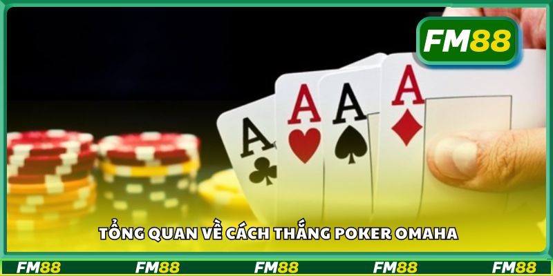 Tổng quan về cách thắng poker Omaha