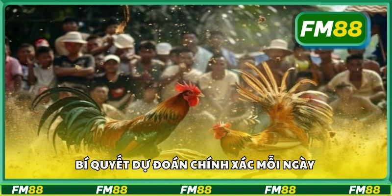 Bí quyết dự đoán chính xác mỗi ngày