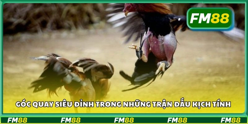 Góc quay siêu đỉnh trong những trận đấu kịch tính