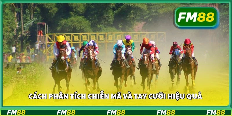 Cách phân tích chiến mã và tay cưỡi hiệu quả