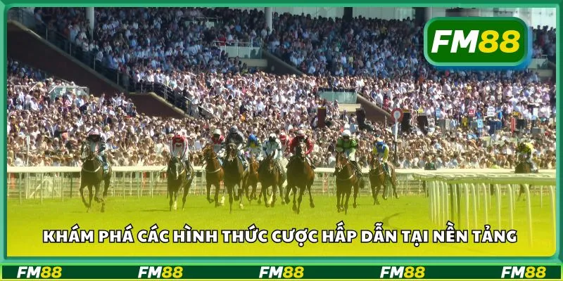 Khám phá các hình thức cược hấp dẫn tại nền tảng
