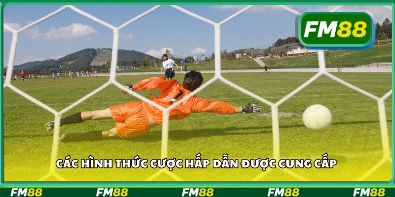 Các hình thức cược hấp dẫn được cung cấp