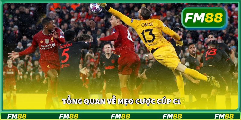 Tổng quan về mẹo cược Cúp C1
