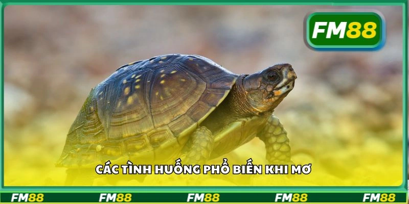 Các tình huống phổ biến khi mơ