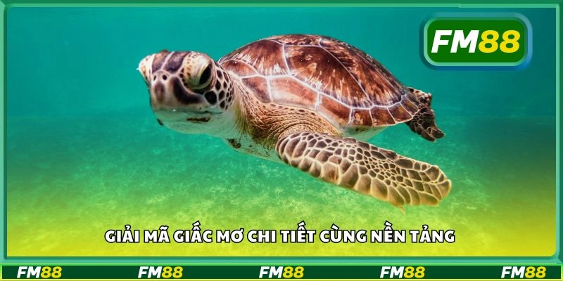 Giải mã giấc mơ chi tiết cùng nền tảng