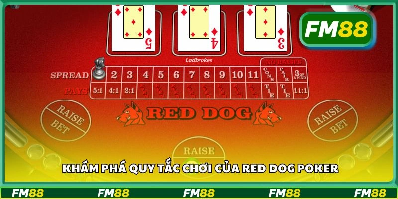 Khám phá quy tắc chơi của Red Dog Poker