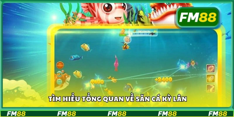 Tìm hiểu tổng quan về săn Cá Kỳ Lân