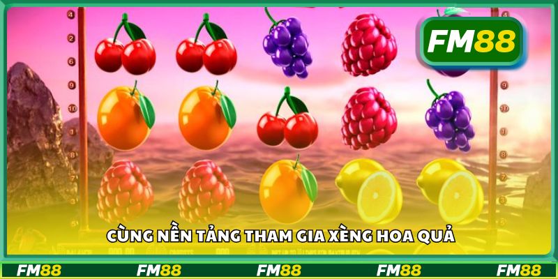 Cùng nền tảng tham gia xèng hoa quả