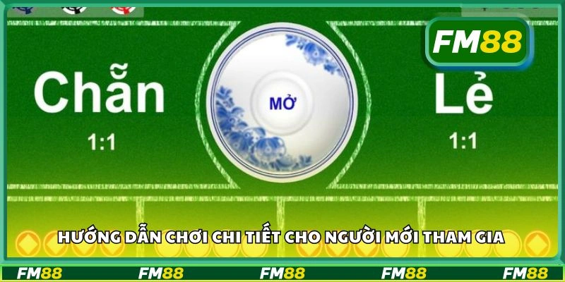 Hướng dẫn chơi chi tiết cho người mới tham gia