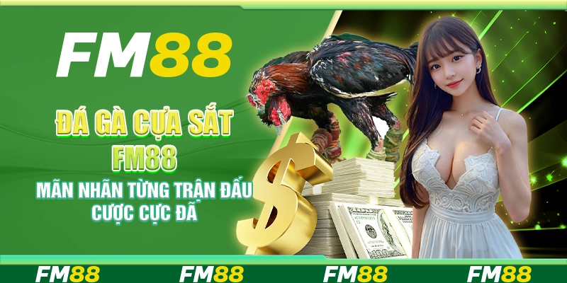 Đá gà cựa sắt FM88 – Mãn nhãn từng trận đấu cược cực đã