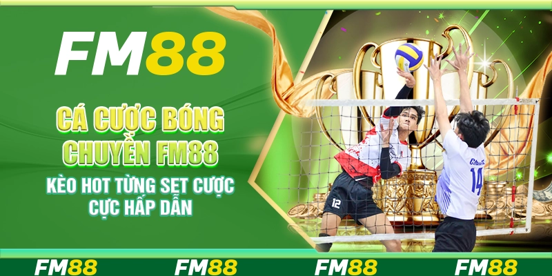 Cá cược bóng chuyền FM88 – Kèo hot từng set cược cực hấp dẫn