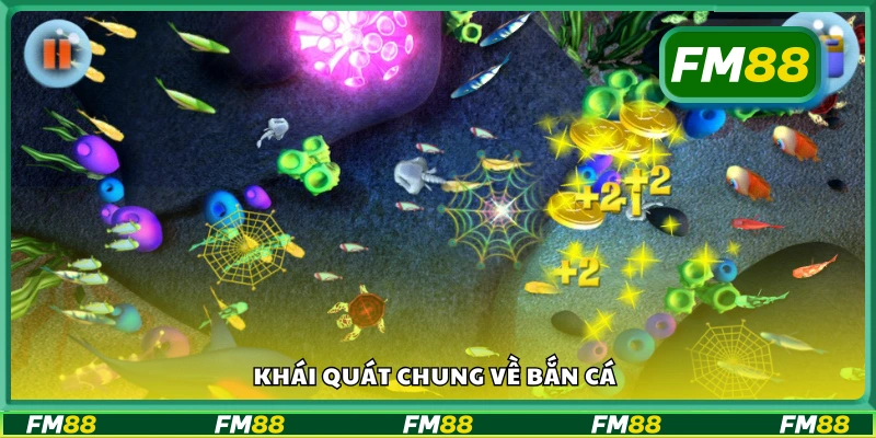 Giới thiệu tổng quan về bắn cá