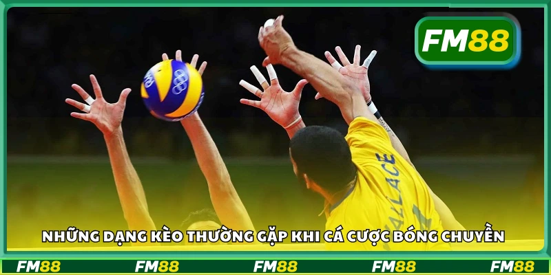 Những loại kèo thường gặp khi chơi cá độ bóng chuyền