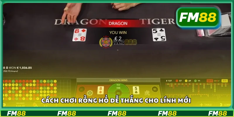 Cách chơi Rồng Hổ dễ thắng hiệu quả dành cho tân binh