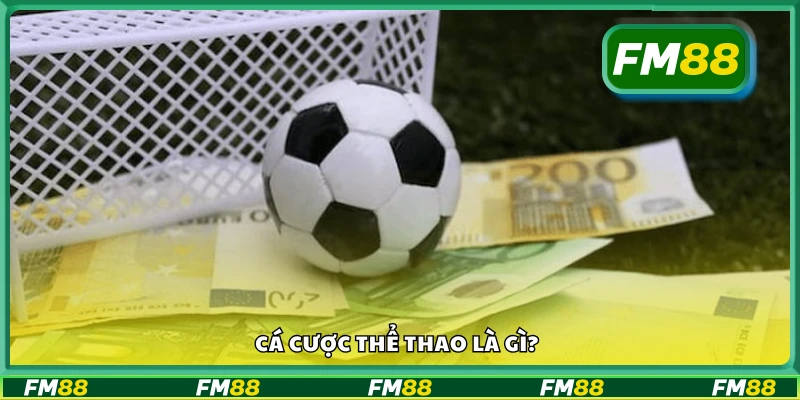 Khái niệm cá cược thể thao cho người mới