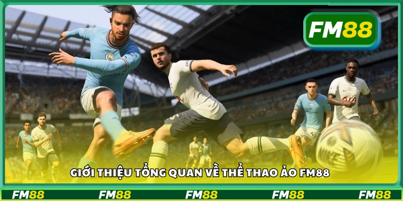 Thể thao ảo FM88 là gì? Tìm hiểu nhanh